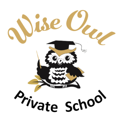 Wise Owl Private School logo